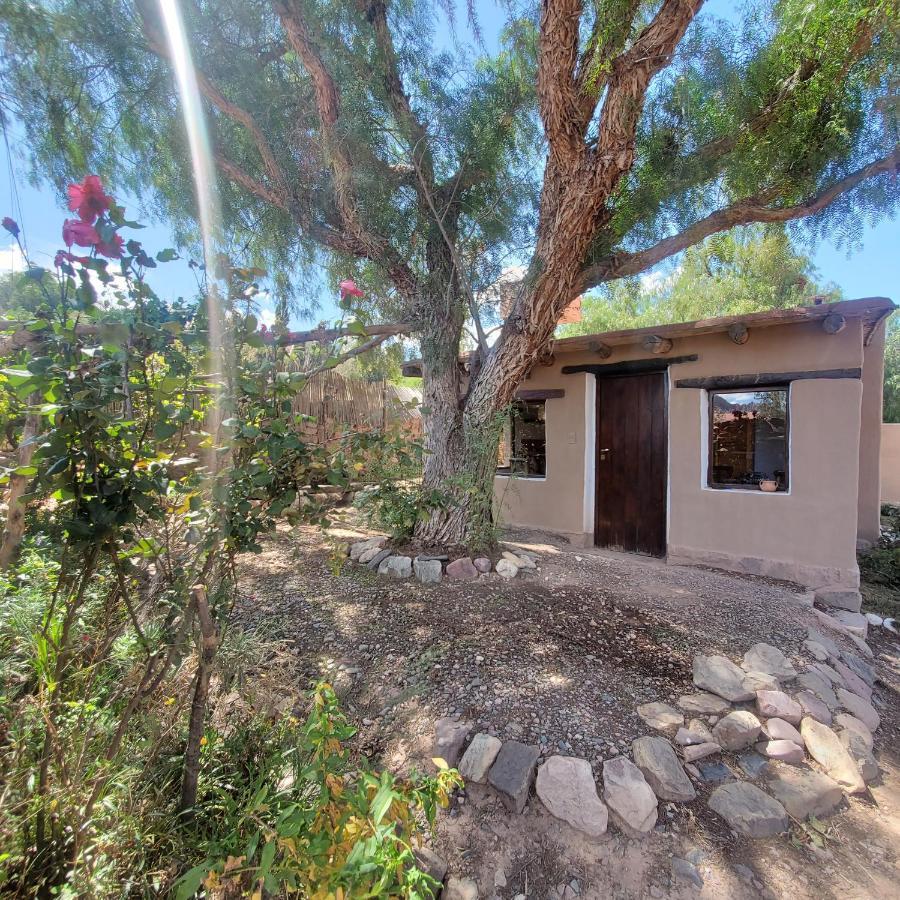 Alta Montana Cabanas Tilcara Exterior foto