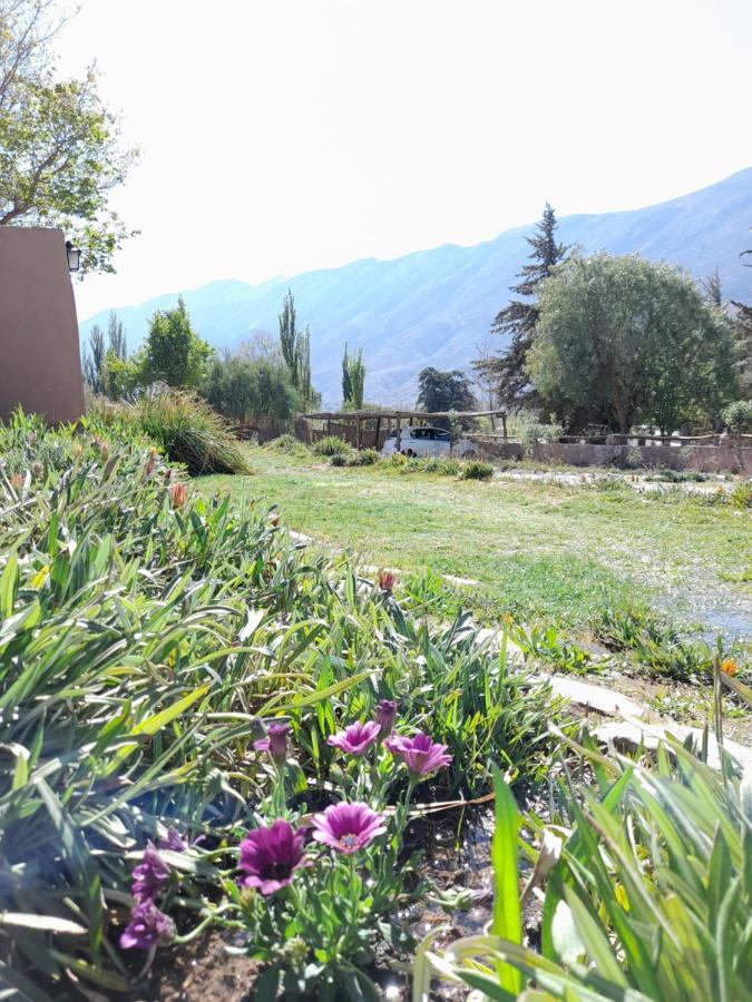 Alta Montana Cabanas Tilcara Exterior foto